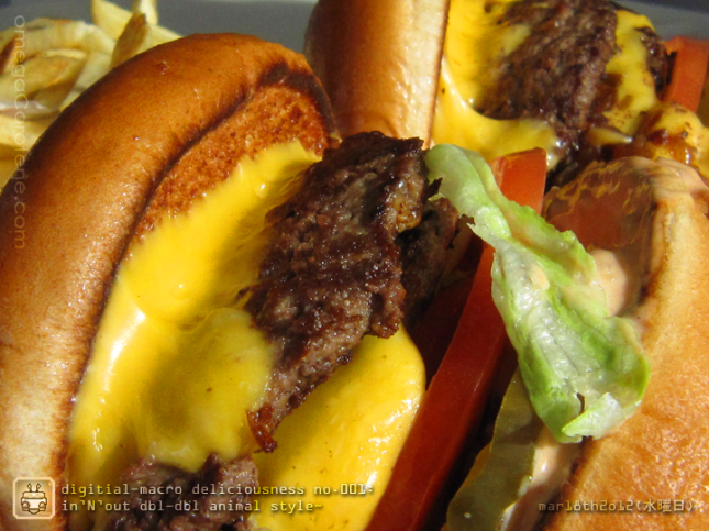 IMG_0721-inNout-dMac-ed02-2o13jnP-i